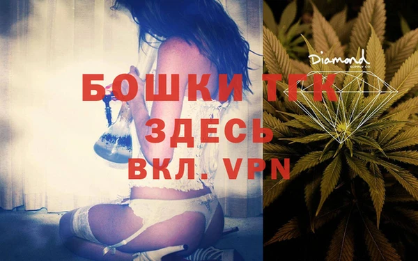 твердый Козловка